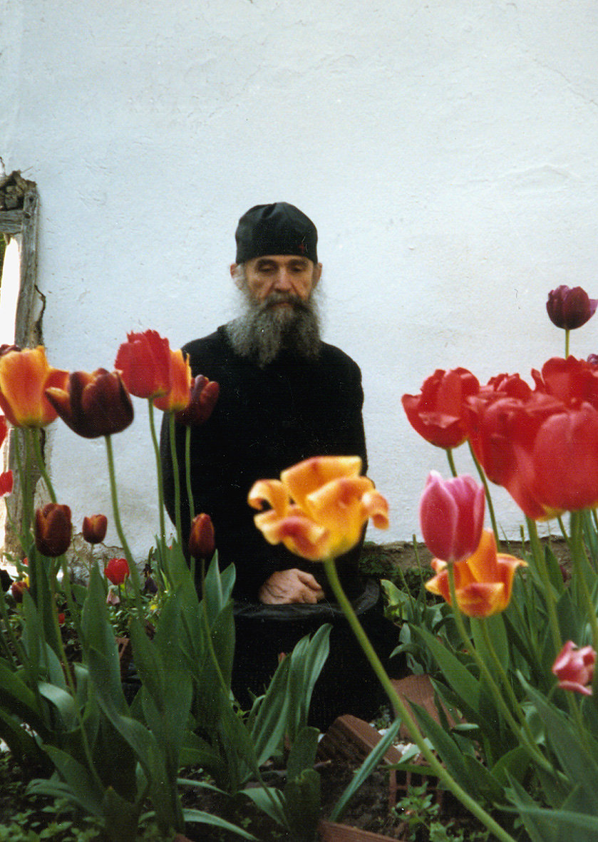 Părintele Efrem Filotheitul (galerie foto)