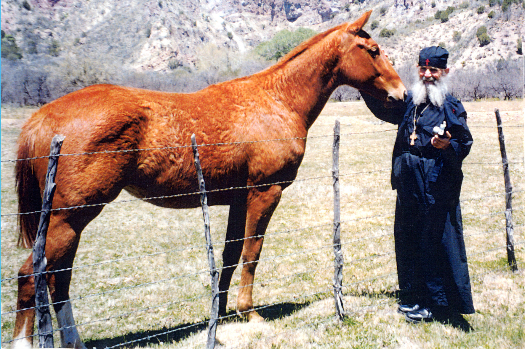 Părintele Efrem Filotheitul (galerie foto)