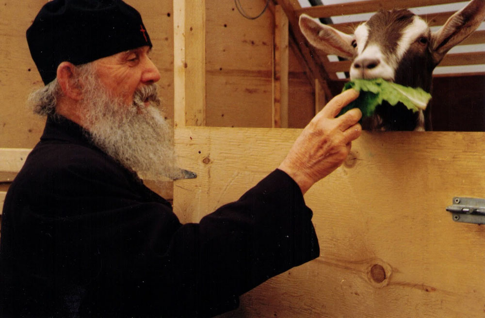 Părintele Efrem Filotheitul (galerie foto)