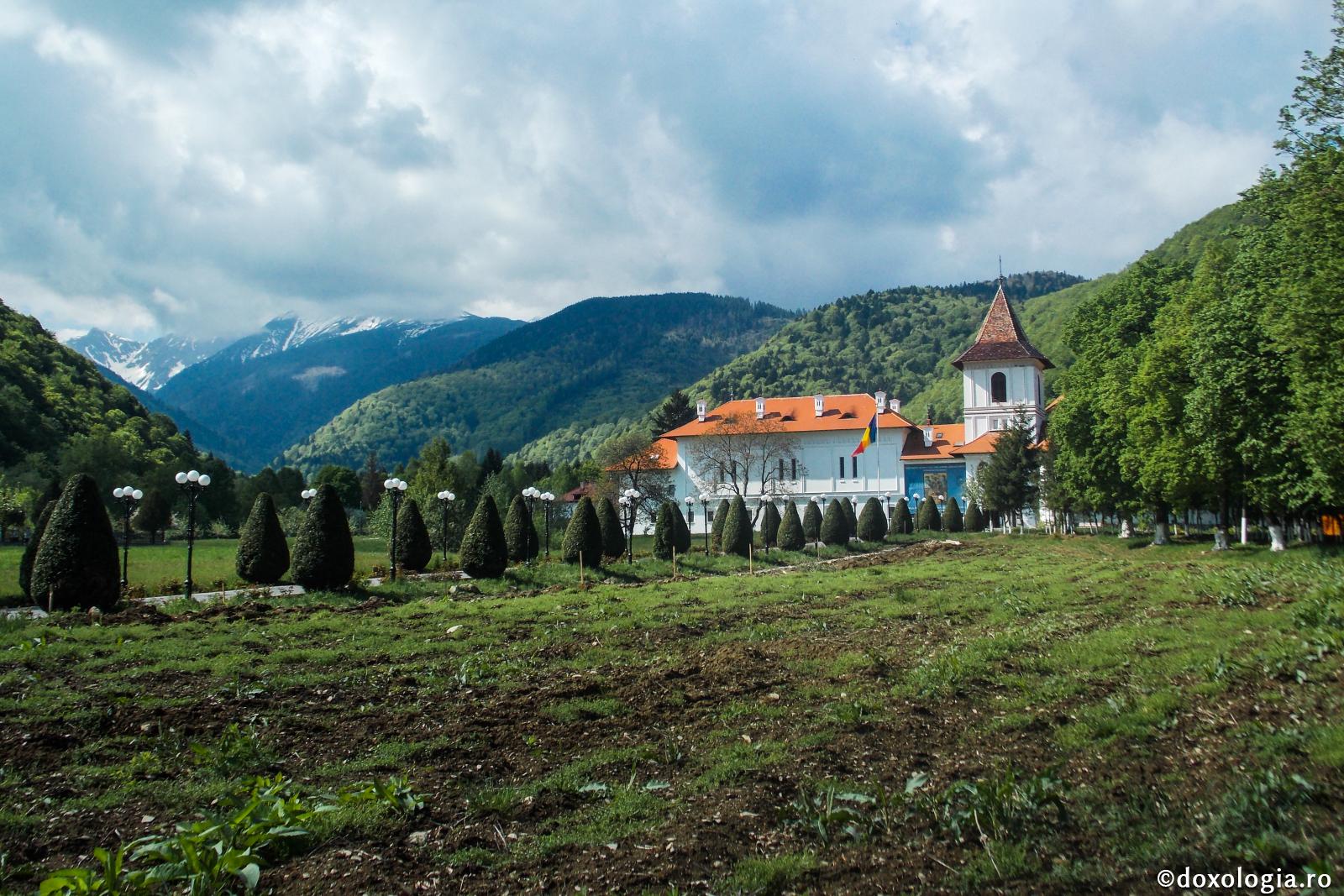 Să semănăm astăzi semințele noastre