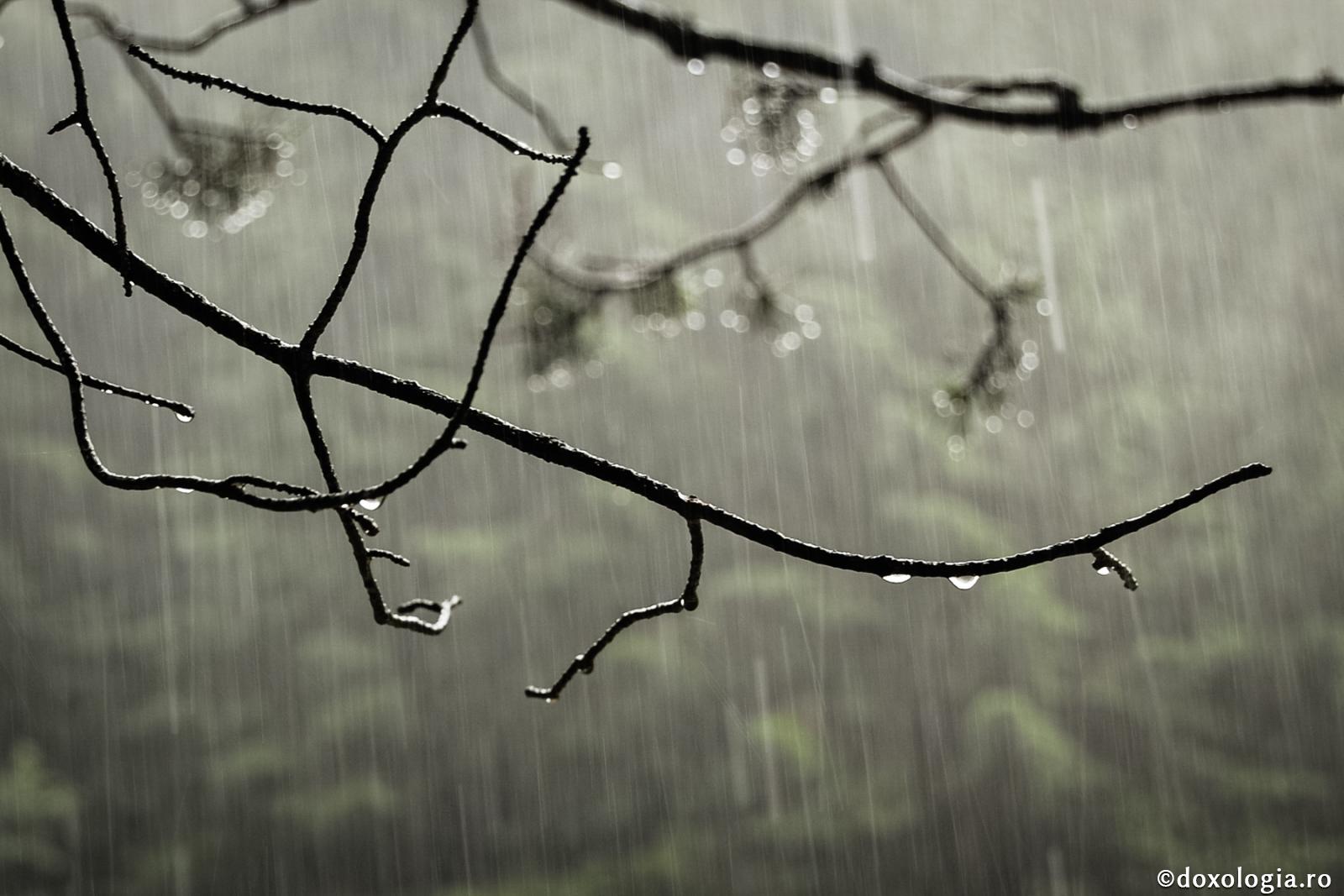 Natura depinde de om