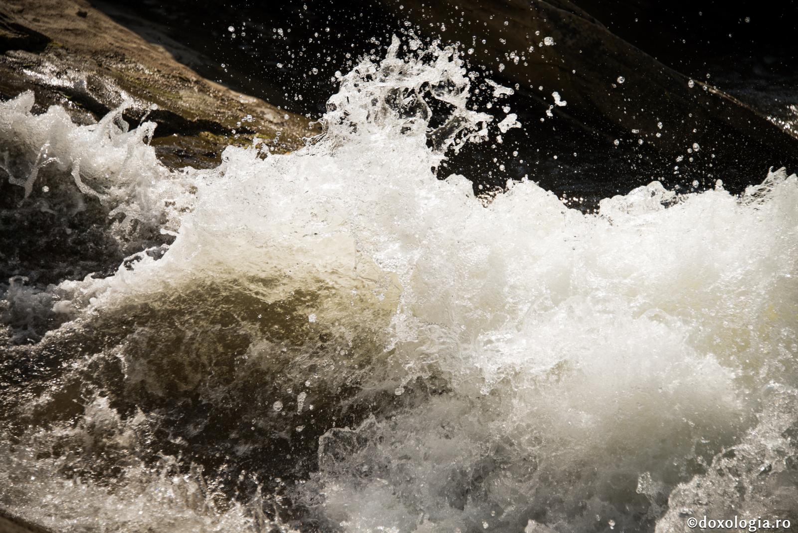 Potopul şi mântuirea