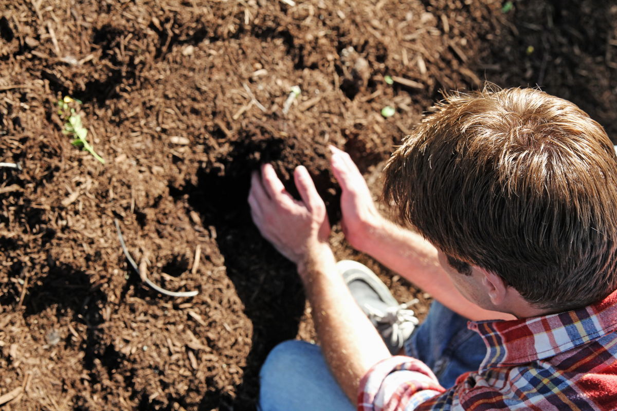 Cel căruia îi place să-şi facă voia sa, nu va avea pace niciodată