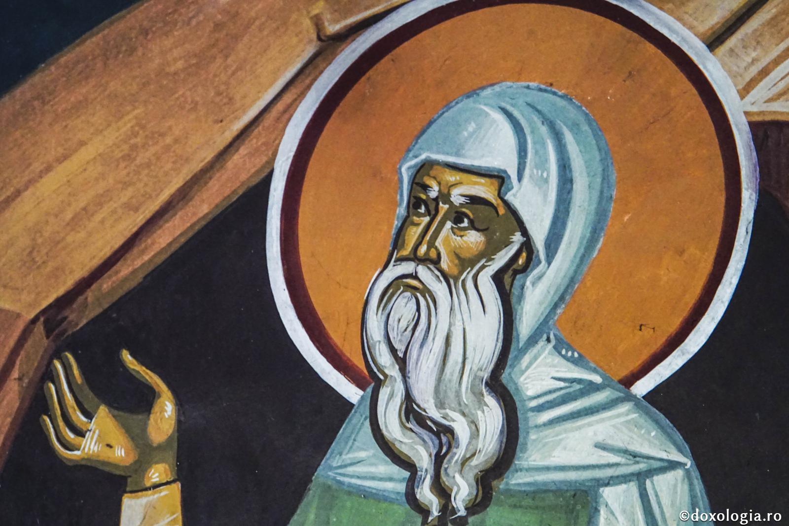 Vieţile sfinţilor sunt o mărturie a faptului că originea noastră se află în cer