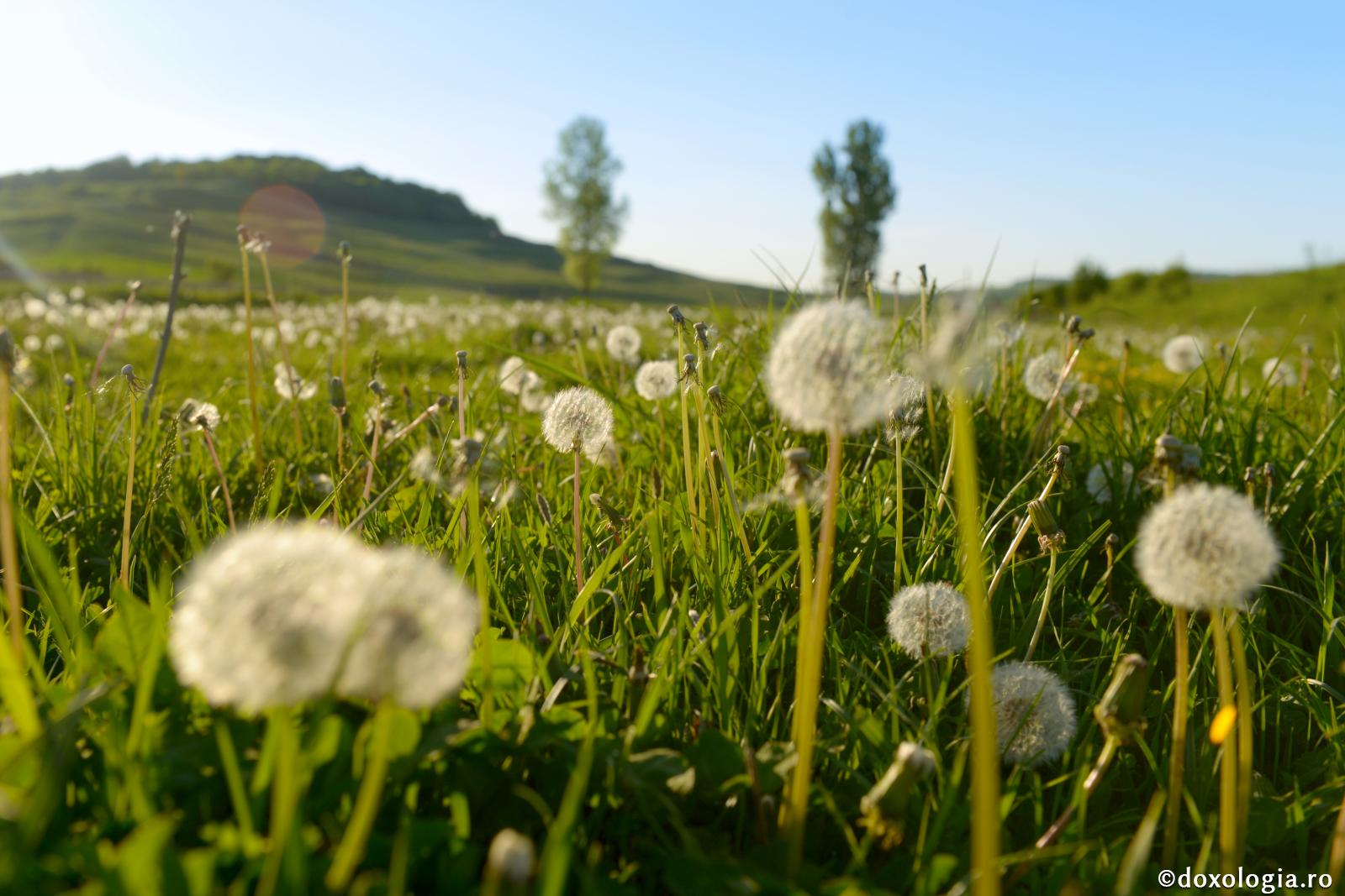 „De ce aleargă oamenii după încuviinţarea gloatei, silindu-se în fel şi chip să fie ridicaţi în slăvi de ea?”
