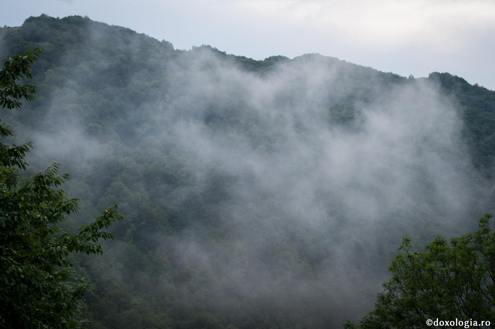 Păcatul care a pus stăpânire pe om se numeşte patimă