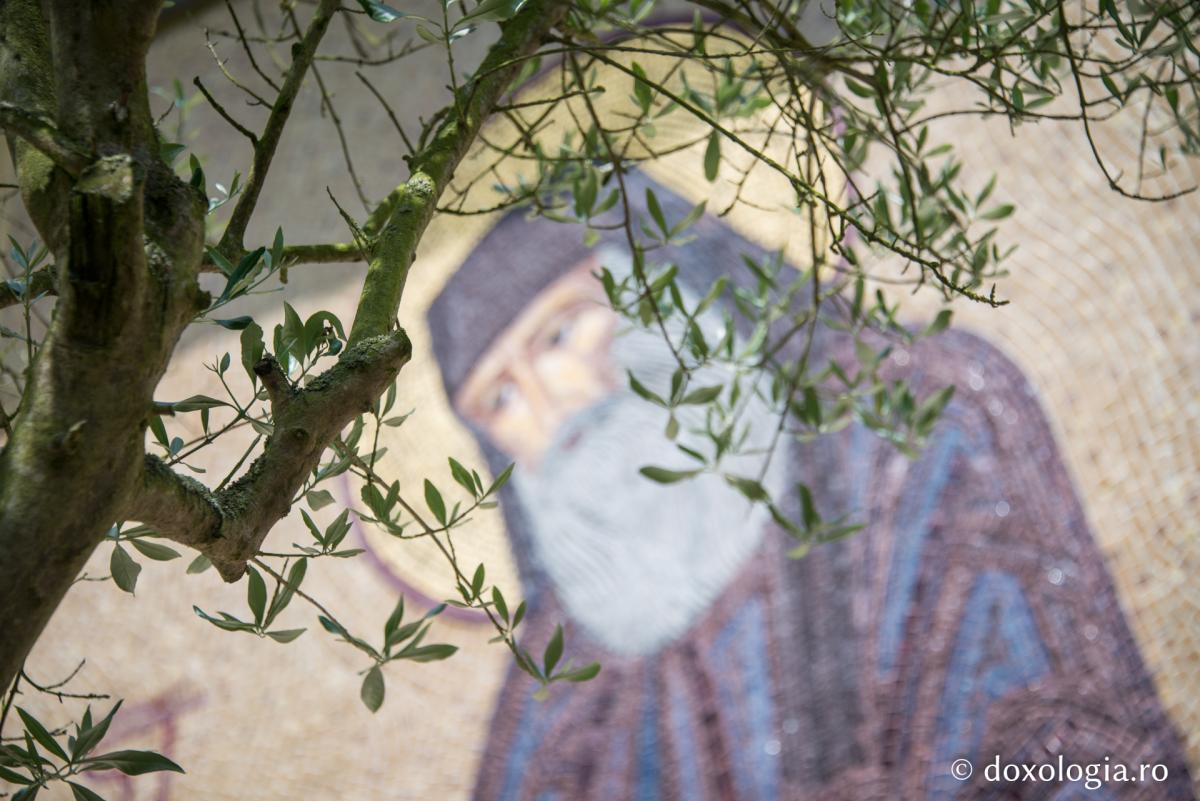 De ce pe unii îi iubește toată lumea?