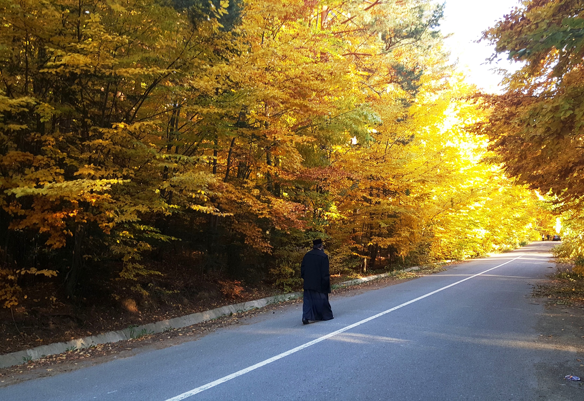 Stupca lui Ciprian Porumbescu, în luminile toamnei