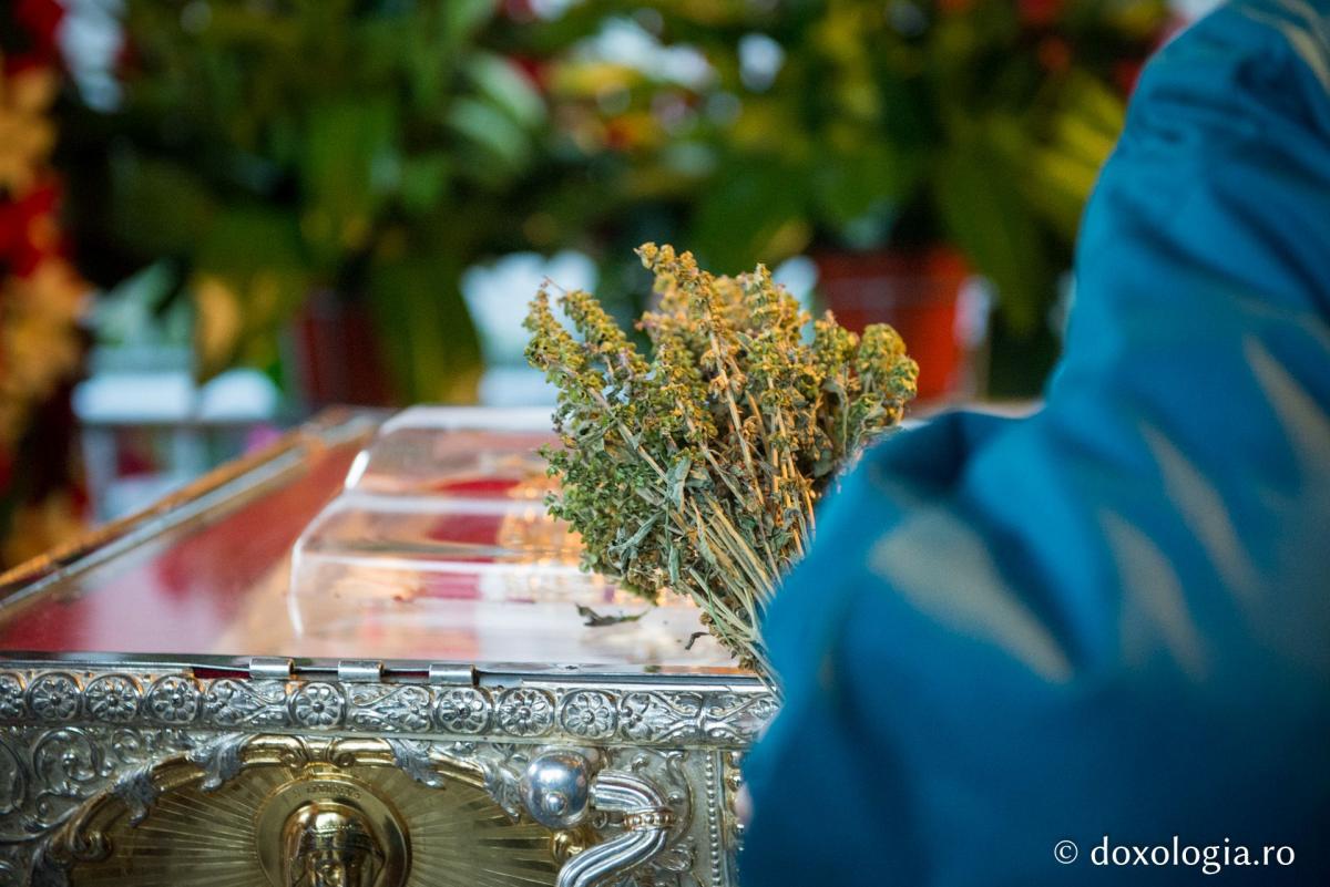 închinare la racla Sfintei Cuvioase Parascheva