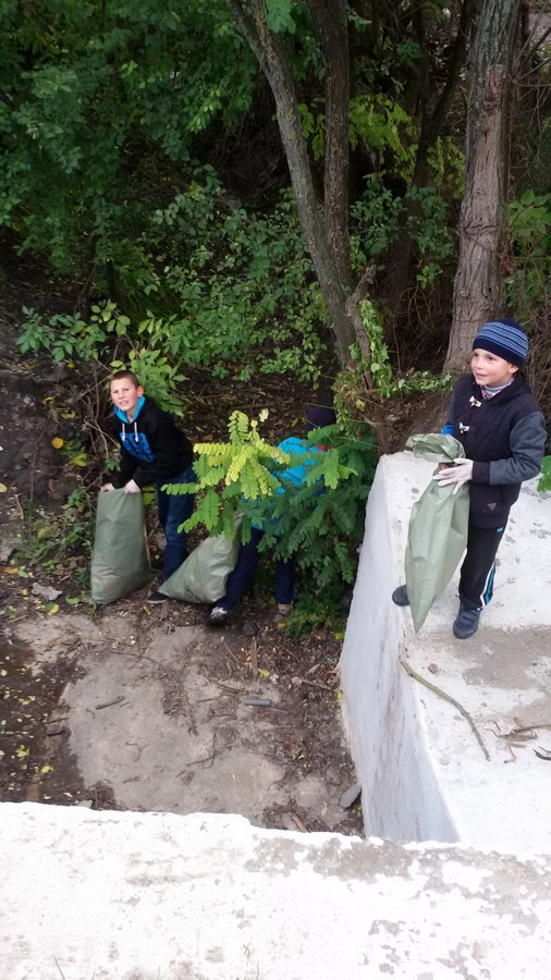 Proiect misionar în Parohia Chişcăreni, Protopopiatul Săveni Proiect misionar în Parohia Chişcăreni, Protopopiatul Săveni