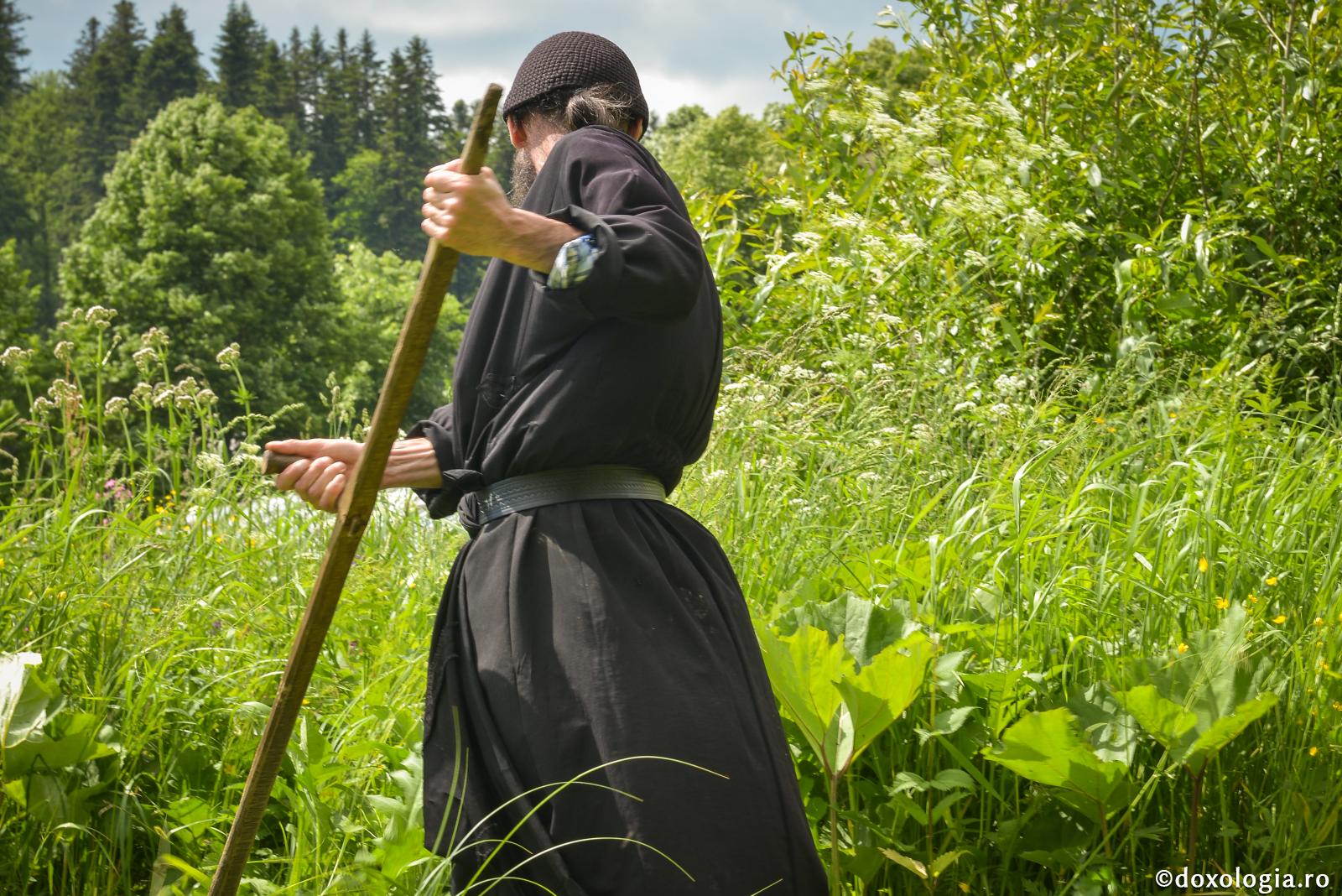 Valoarea ascultării