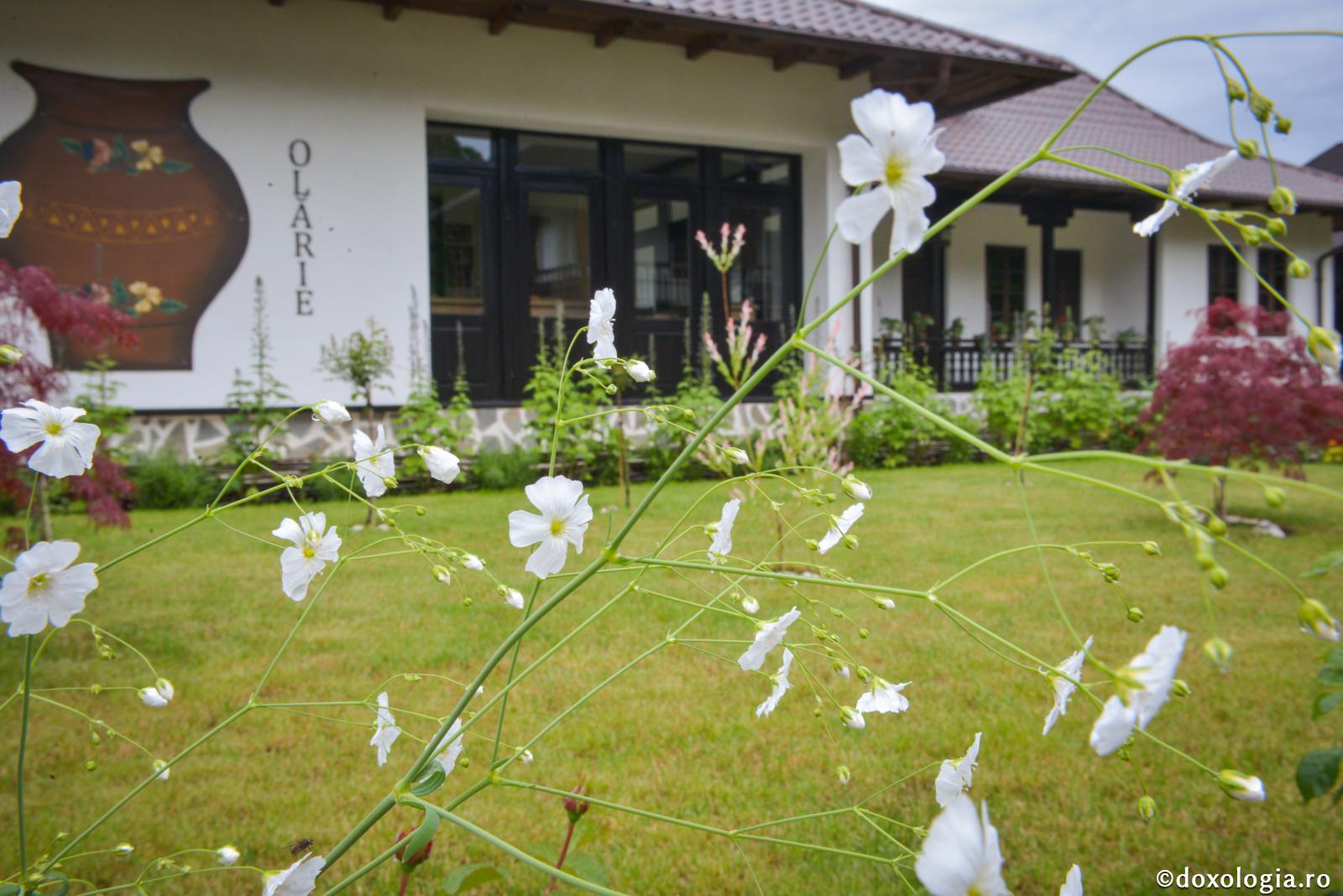 Bunurile vieții lumești