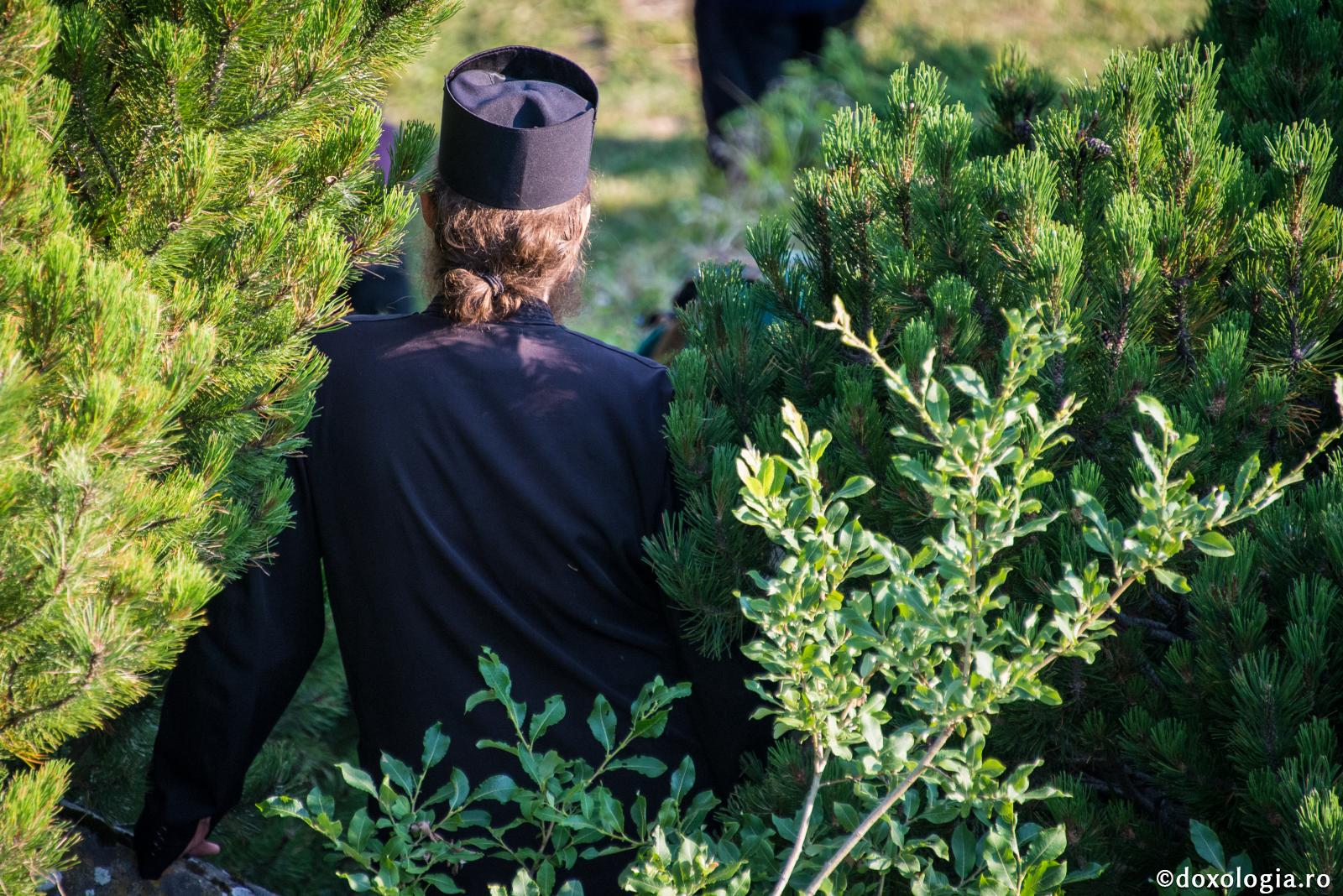 Despre chipul celui ce nădăjduiește în Dumnezeu