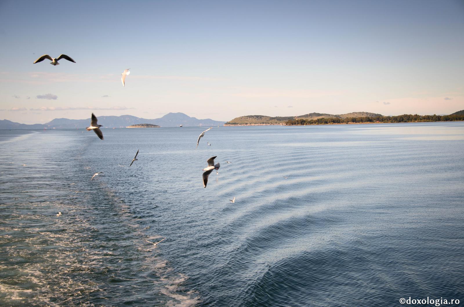 Ne naştem pe rând şi murim pe sărite