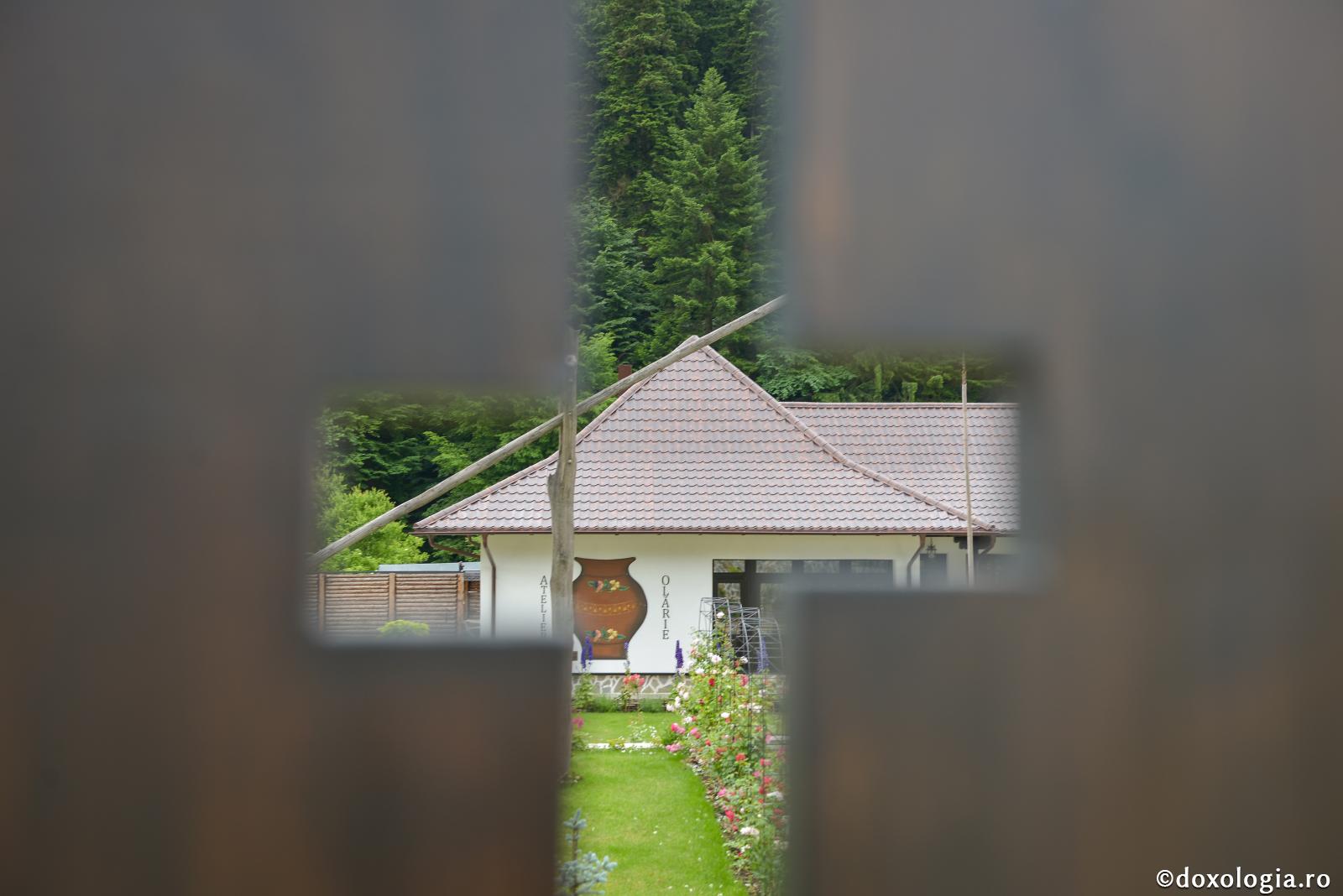 Natura este prietena omului