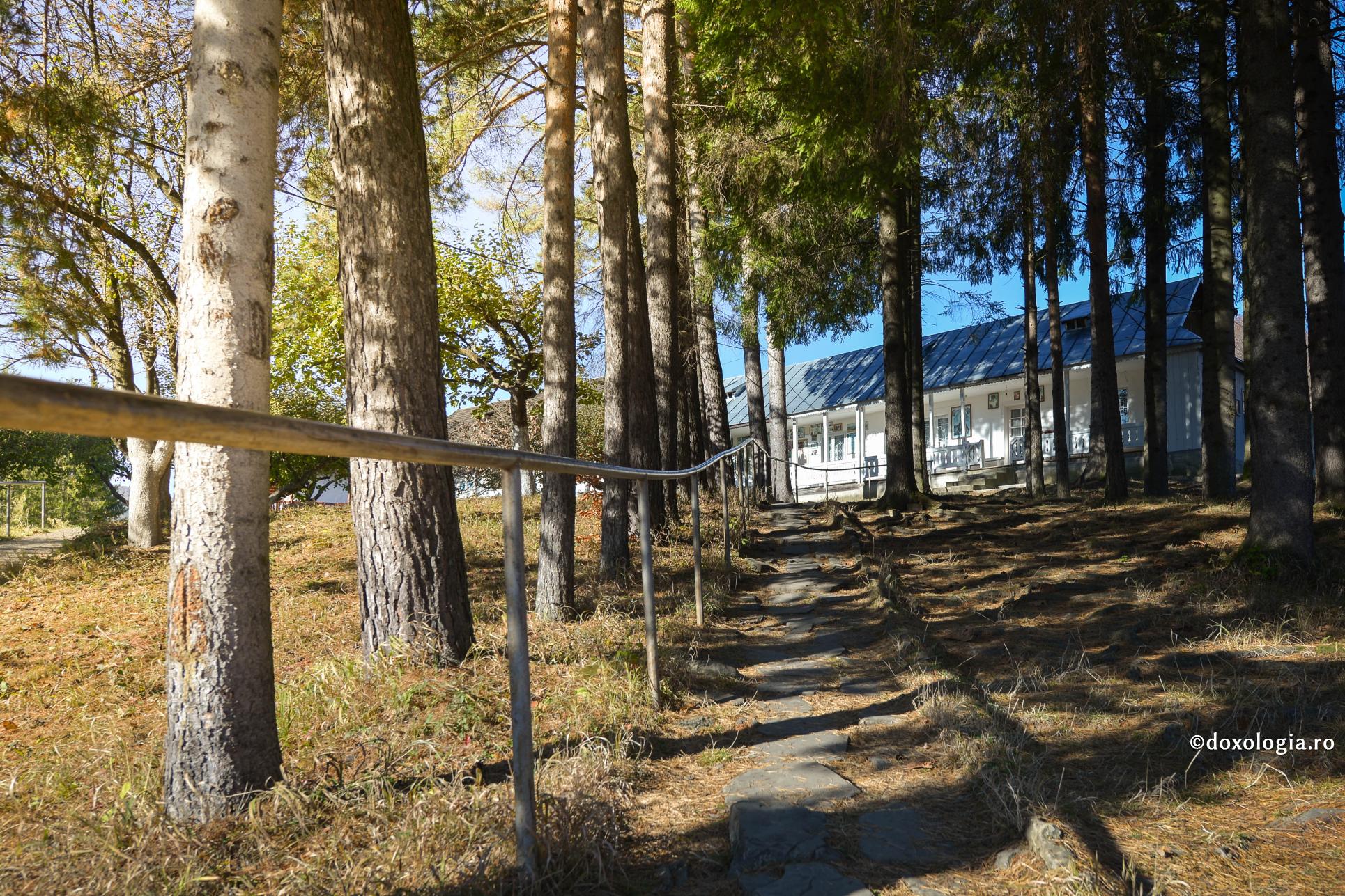 Spre chilia Părintelui Cleopa/ Foto: Oana Nechifor Întâlnirea marcantă a Părintelui Macarie Simonopetritul cu Părintele Cleopa Ilie