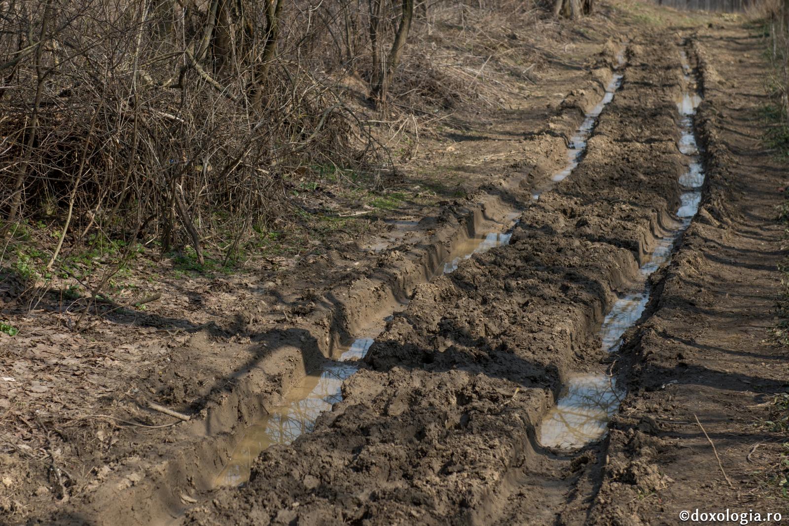 Stropii aceştia de noroi împroşcaţi pe suflet