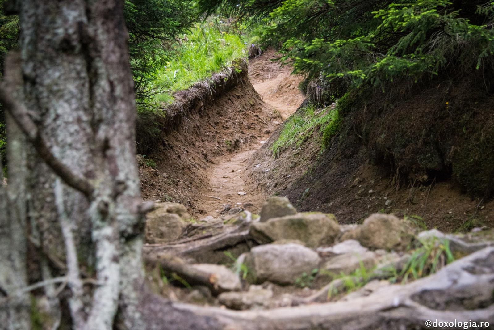 De ce avem în viaţă urcuşuri şi coborâşuri?