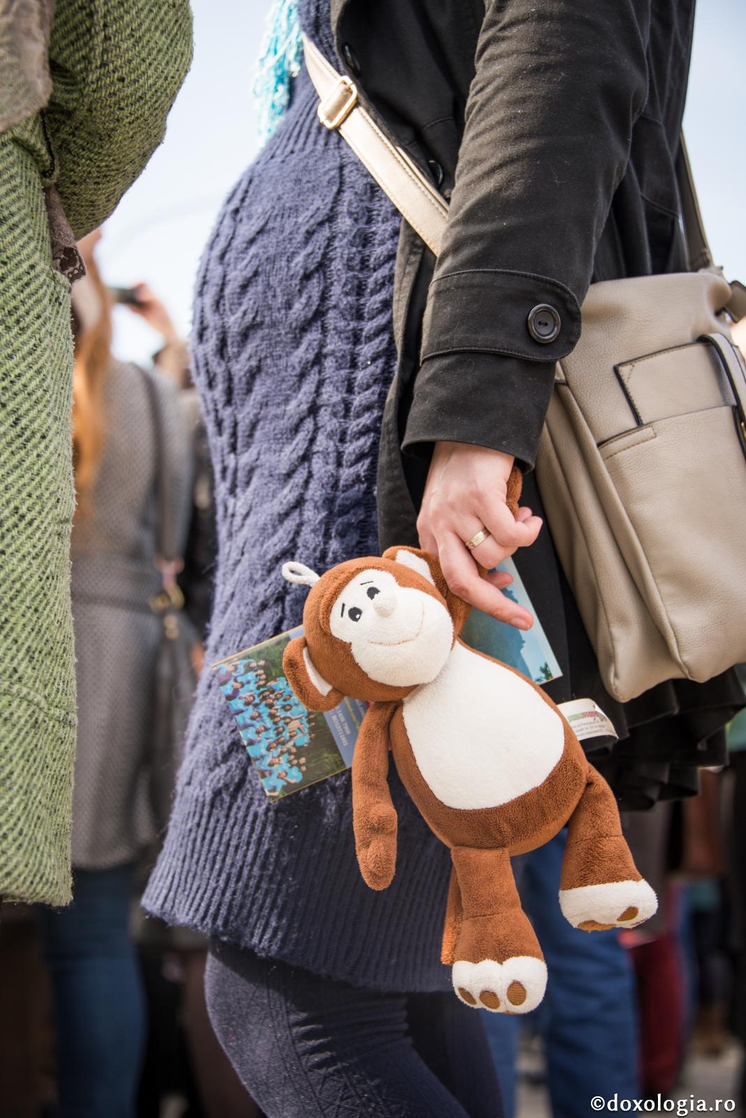 Purtarea pe timpul sarcinii