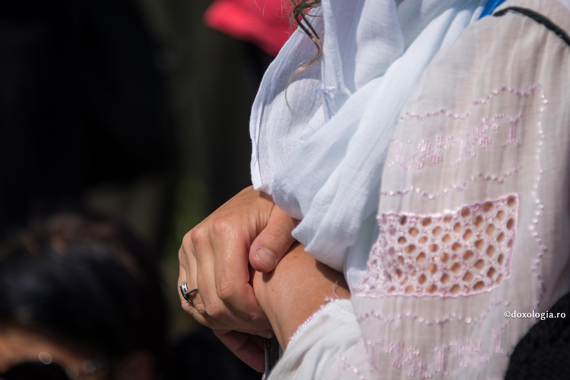 Rugăciunea celui care nu-și găsește rostul în lumea aceasta, către Sfântul Efrem cel Nou