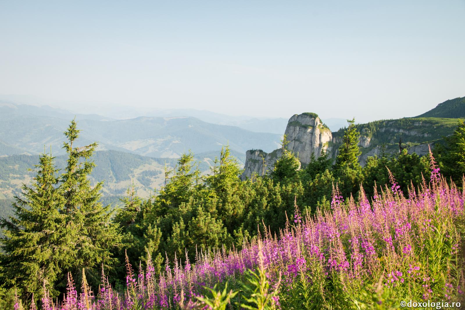Virtuţile sufleteşti