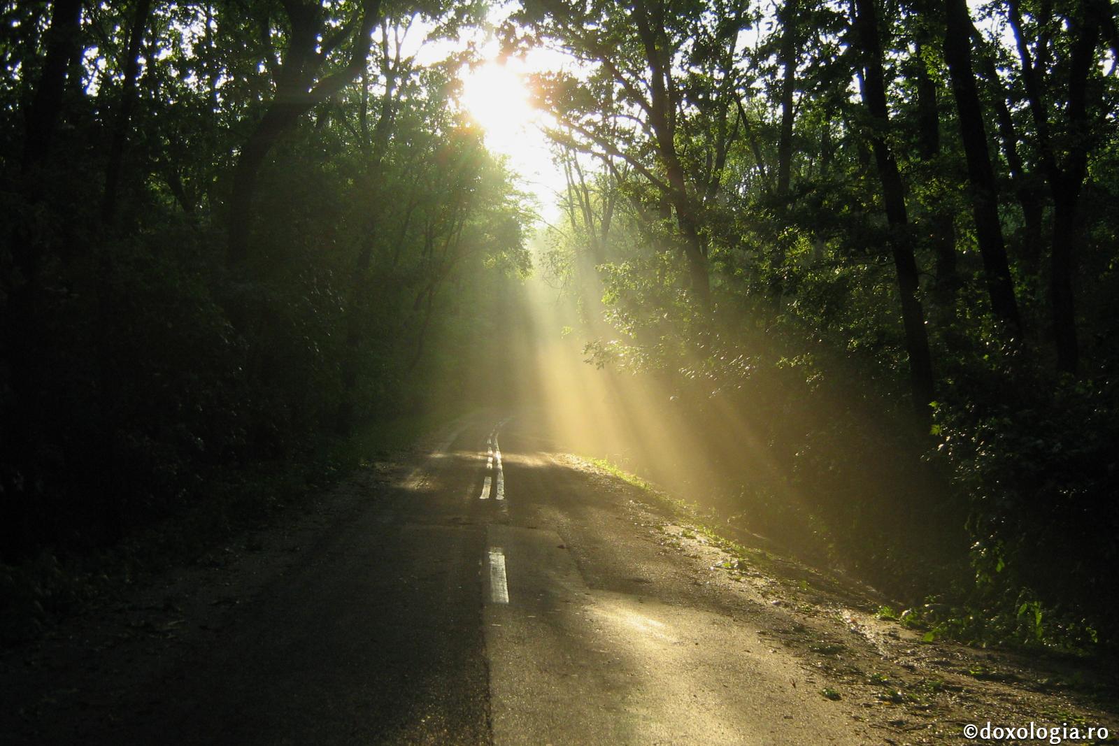 Mântuirea sufletului