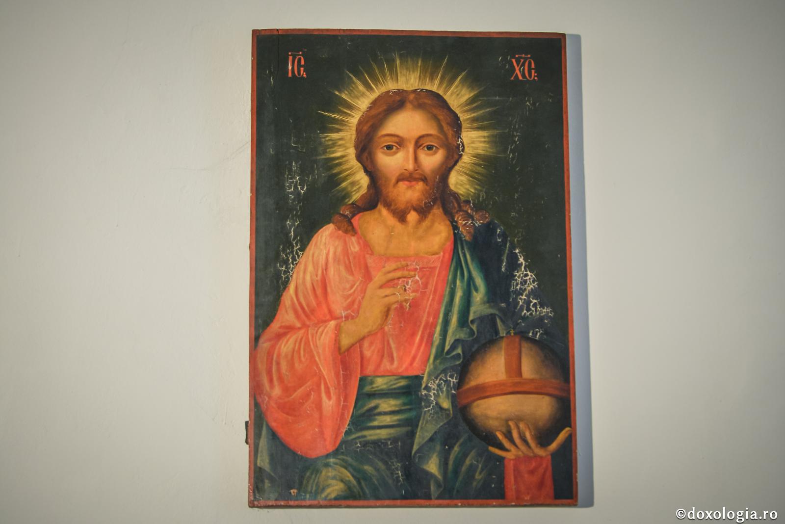 Viţa şi mlădiţele