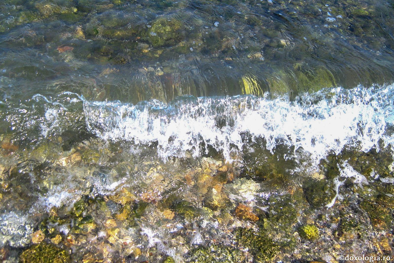 Viaţa noastră este mare ce se înviforează