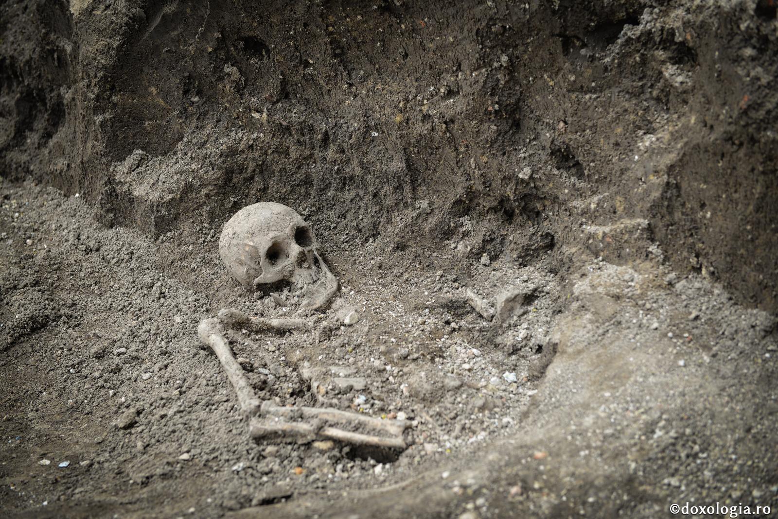 Eu vierme sunt, şi nu om!