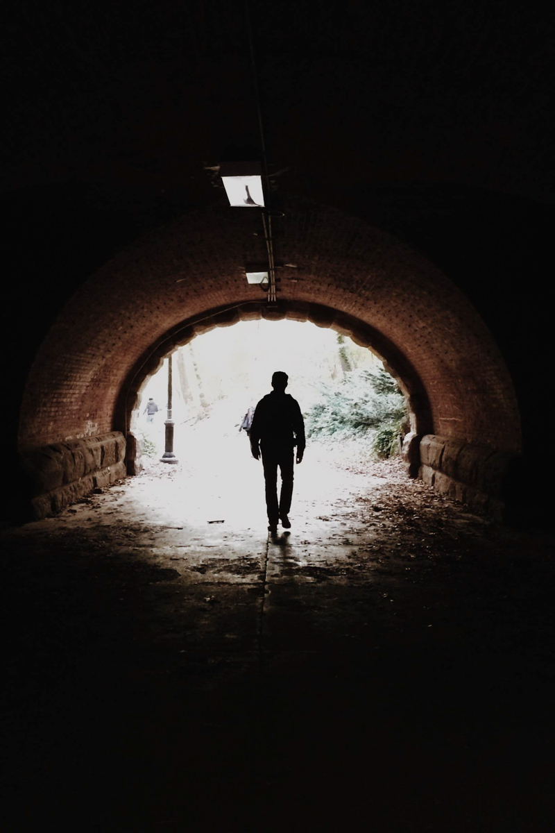 Patimile fireşti şi patimile născocite