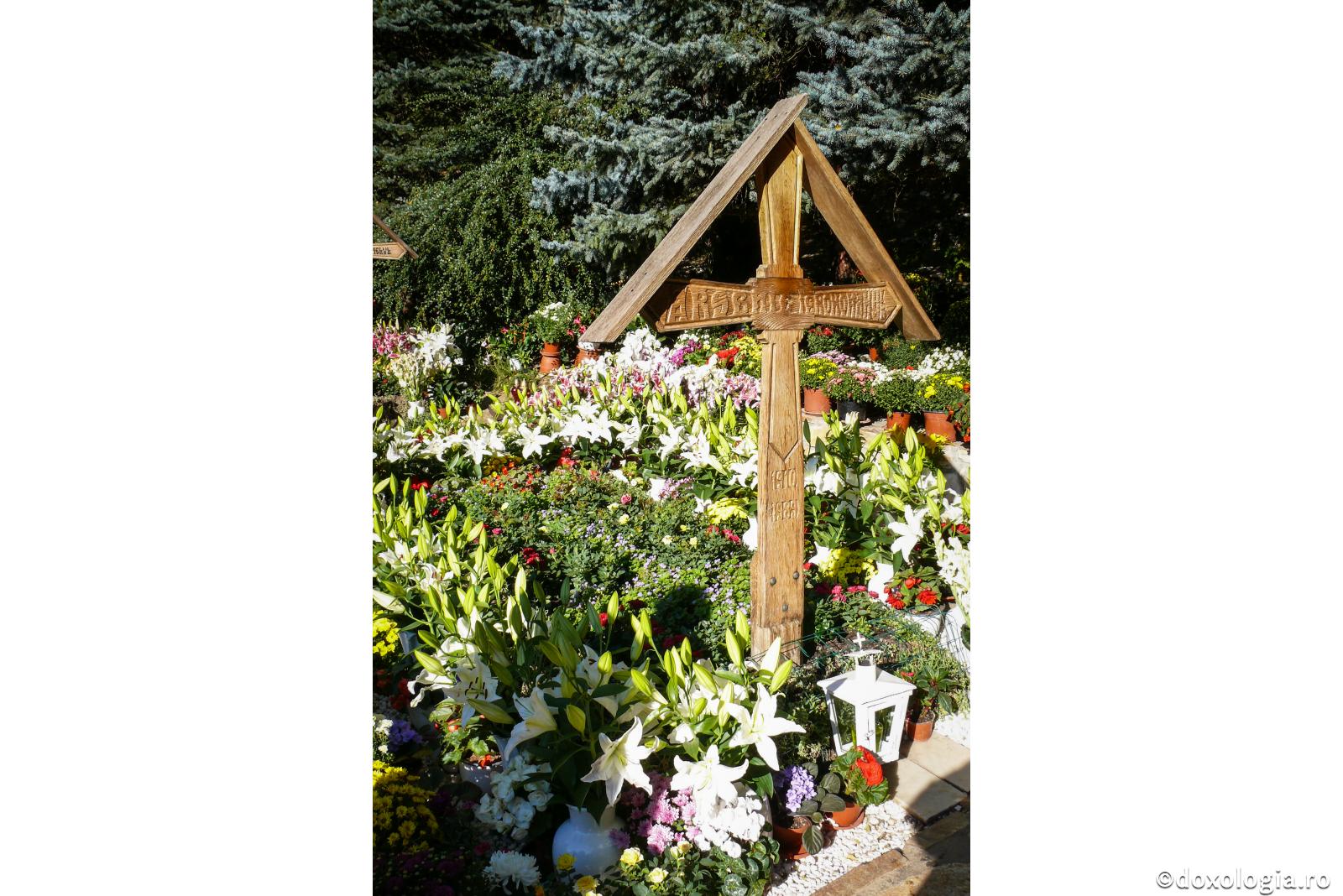 Părintele Arsenie şi ursul din pădure