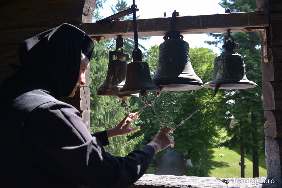 Ce alte exemple de răbdare memorabile ai mai vrea?