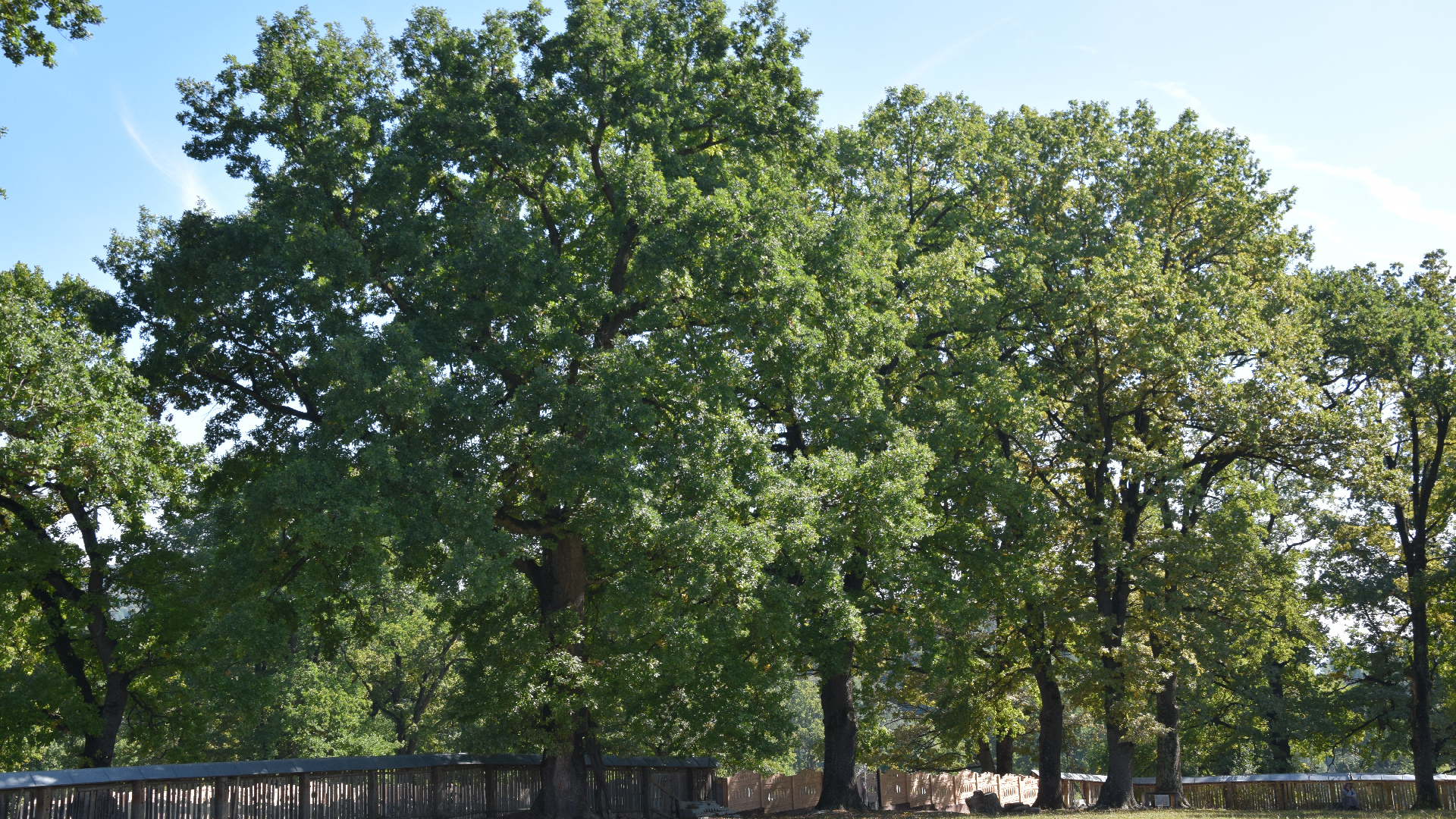 „Dacă omul nu este în legătură cu Biserica, credința sa în Dumnezeu este mincinoasă”