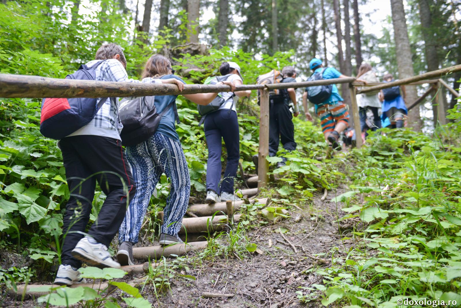 Treptele păcatului (10)
