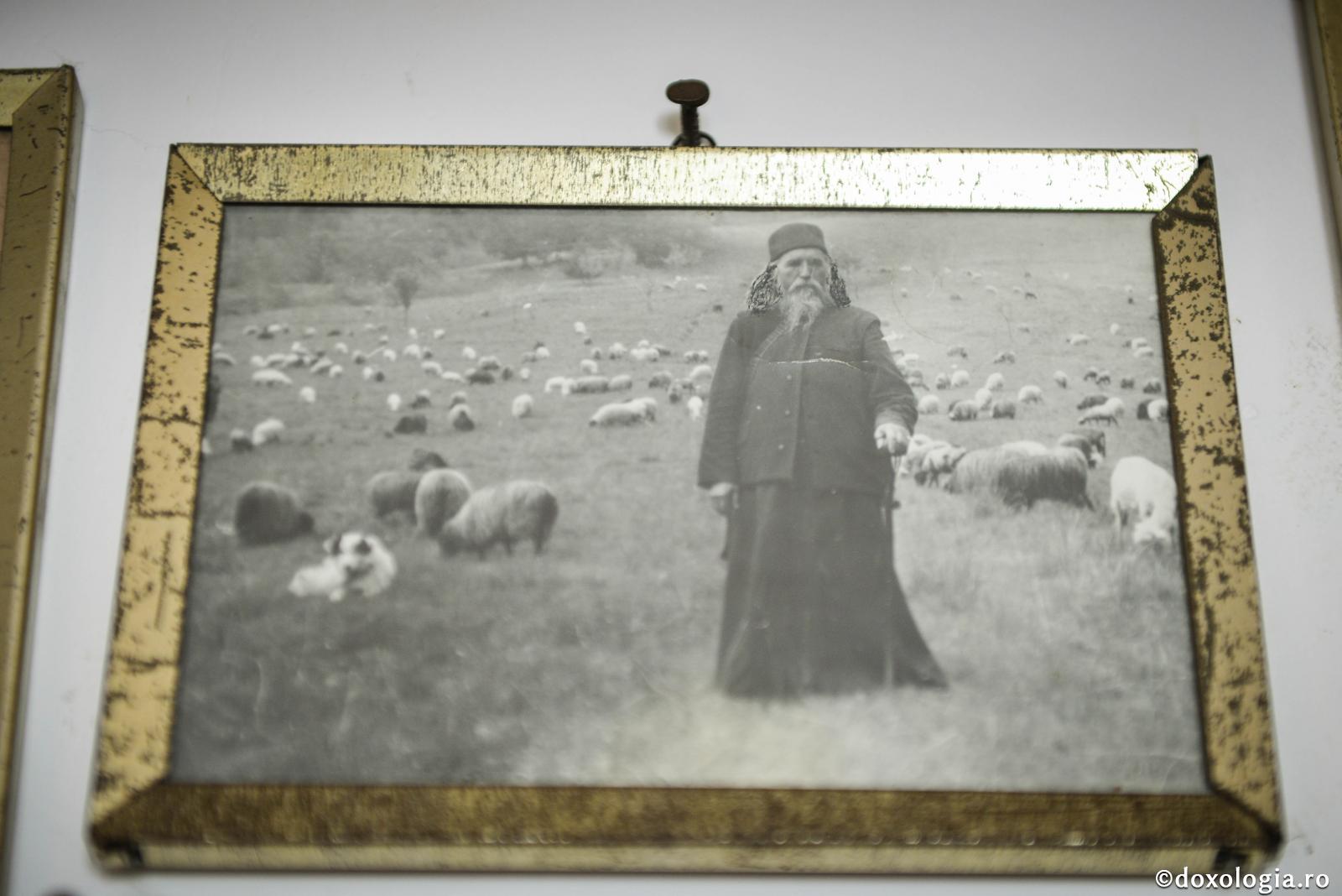 Cuviosul Cleopa de la Sihăstria – o viață de smerenie / Foto: Oana Nechifor Părintele Cleopa Ilie