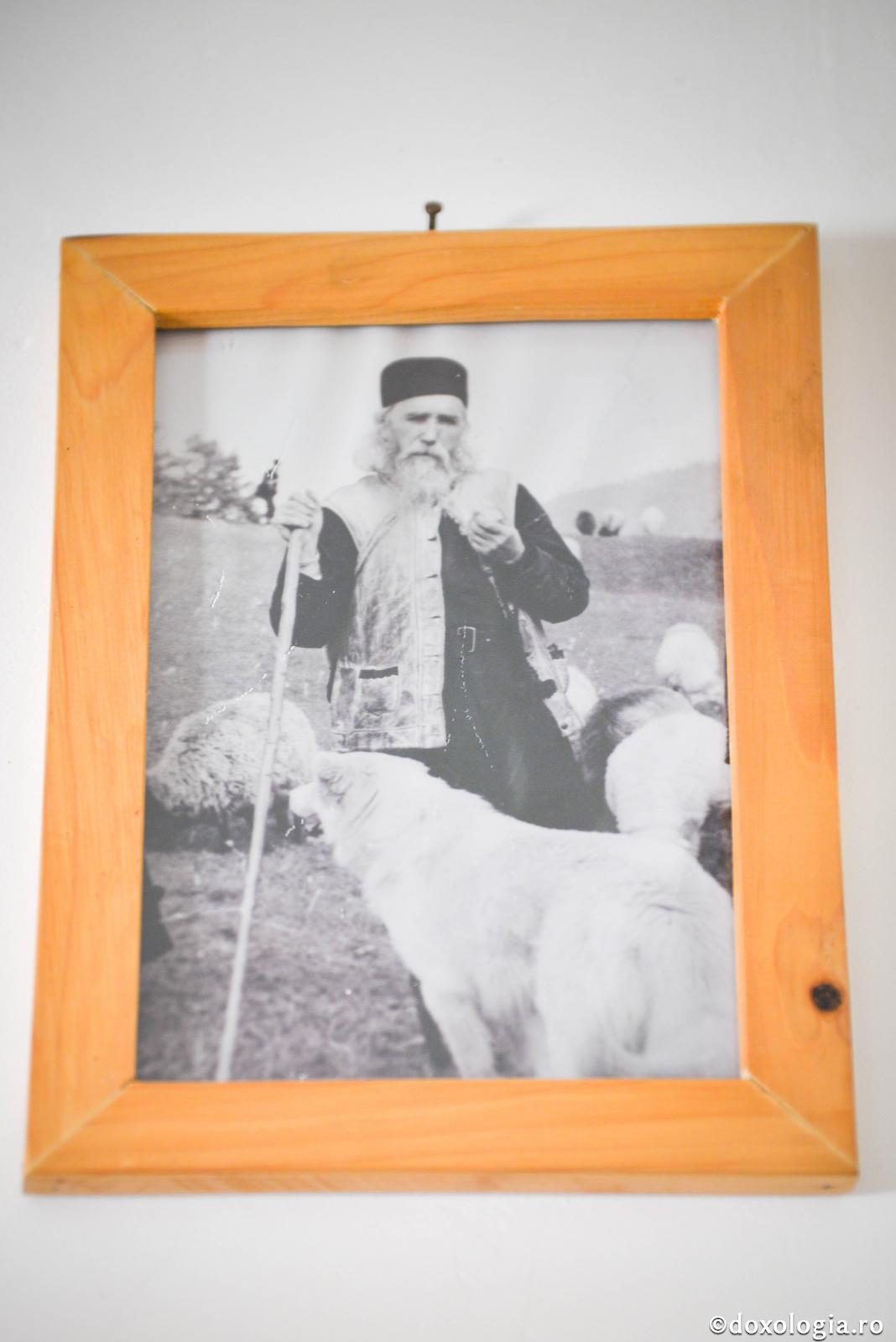 Cuviosul Cleopa de la Sihăstria – o viață de smerenie / Foto: Oana Nechifor Părintele Cleopa Ilie