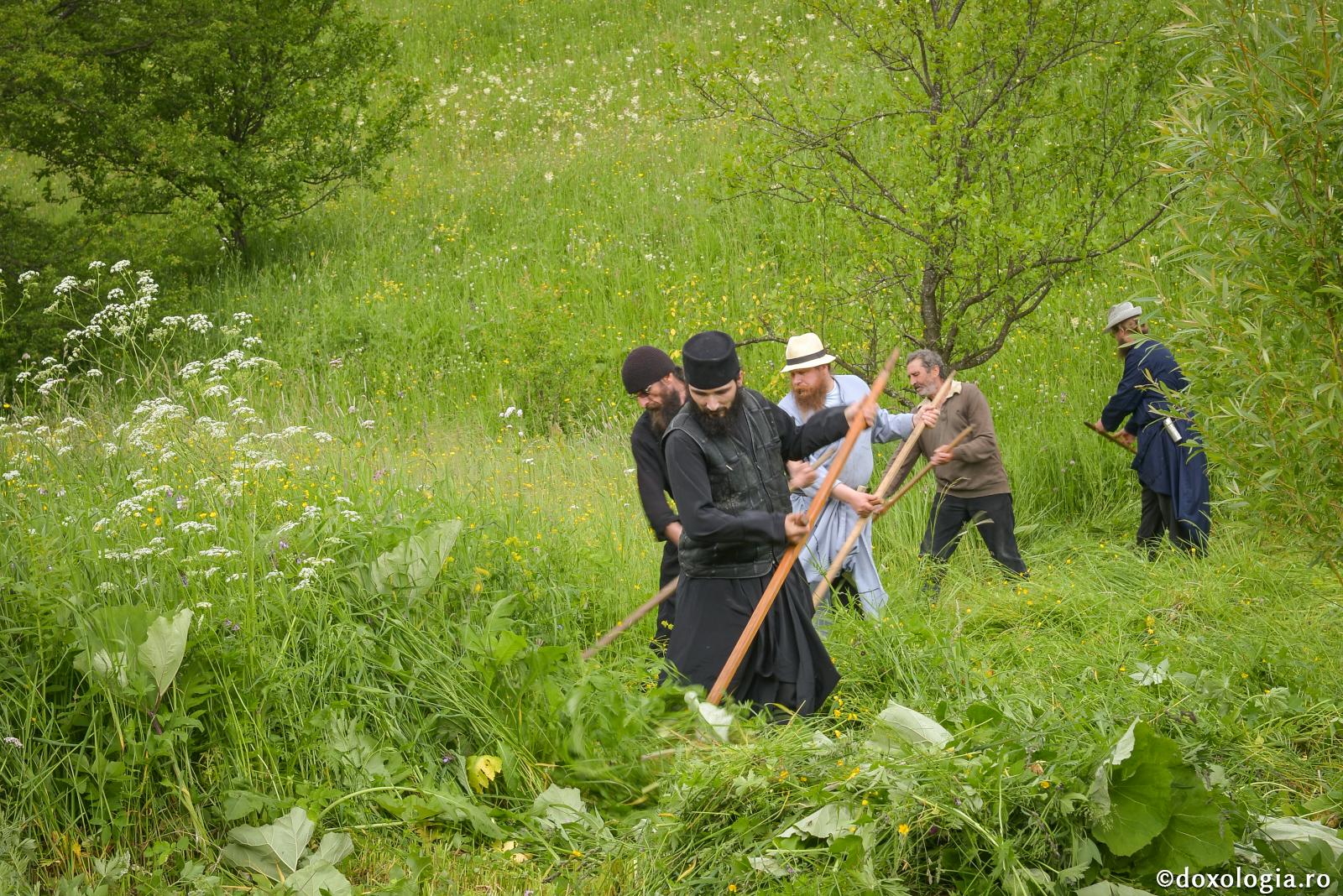 Trebuia să ajuți și tu, cât de puțin...