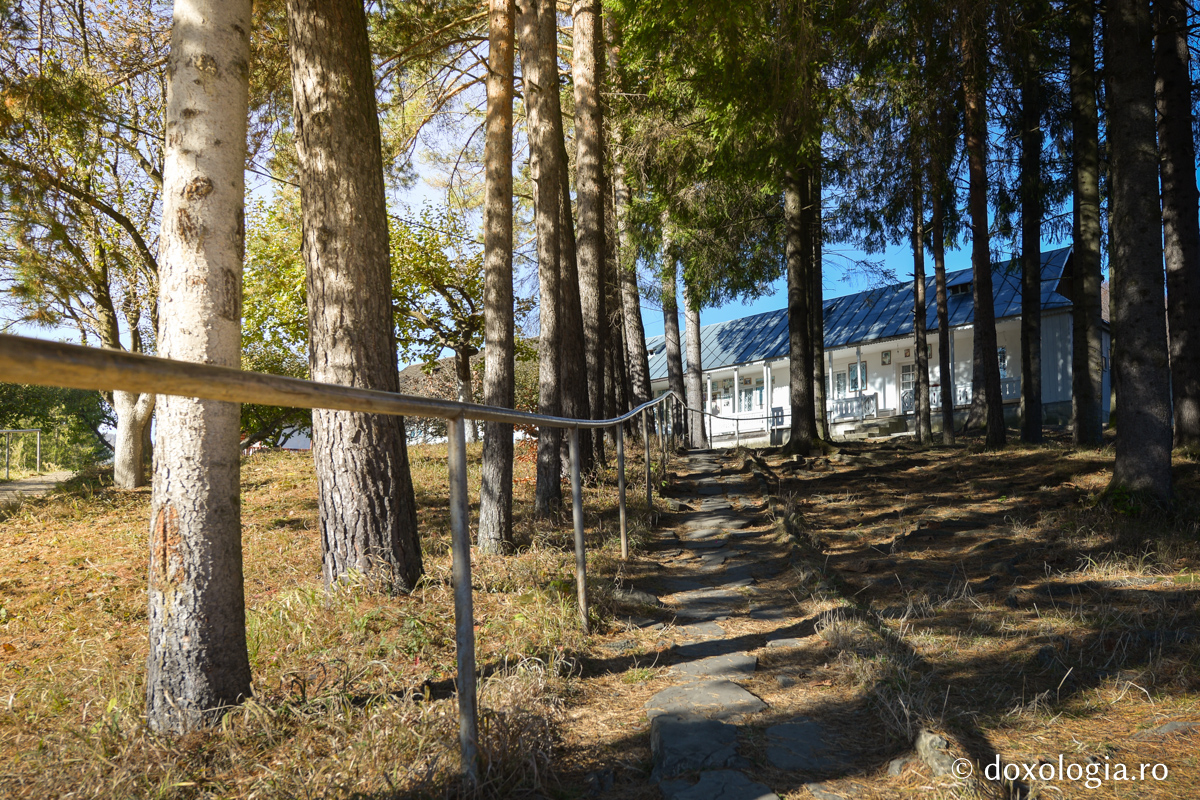 Oare unde voi fi mâine?