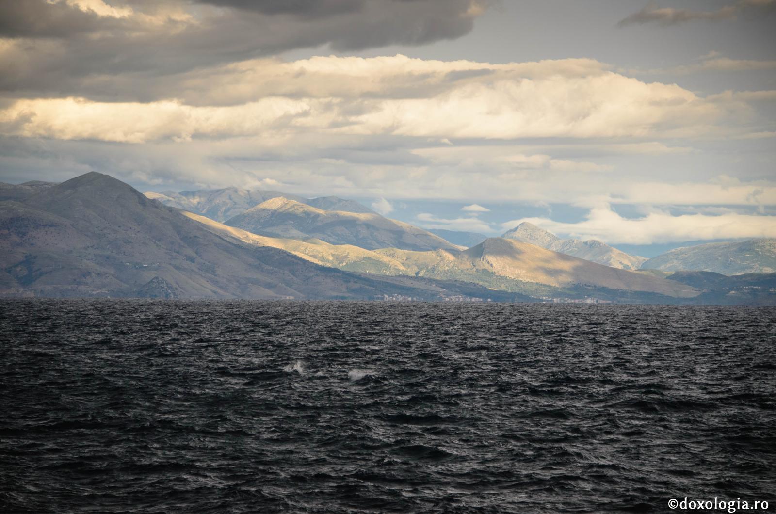 Să nu socoteşti că sufletul moare