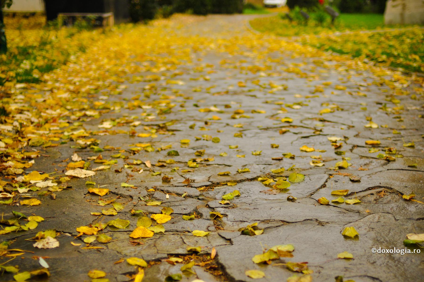 Sfârșit de toamnă în „cetatea evlaviei” de la Bistrița