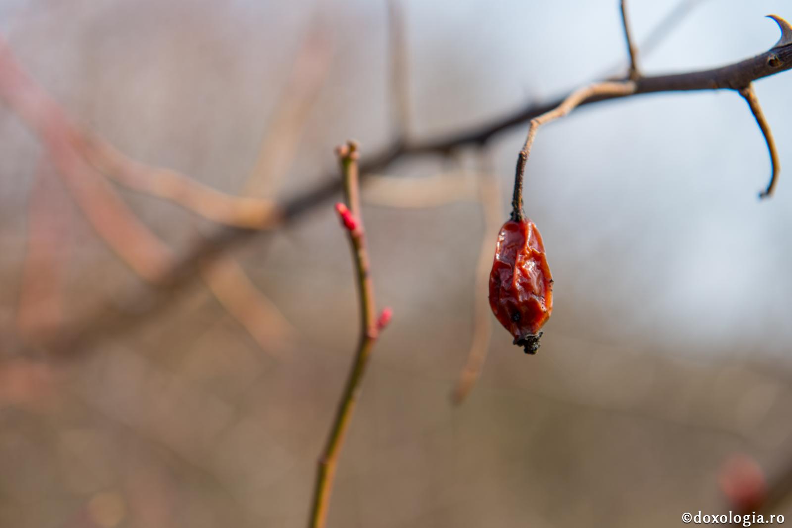 De ce pune diavolul cele mai rele gânduri în inimă, nu în minte?