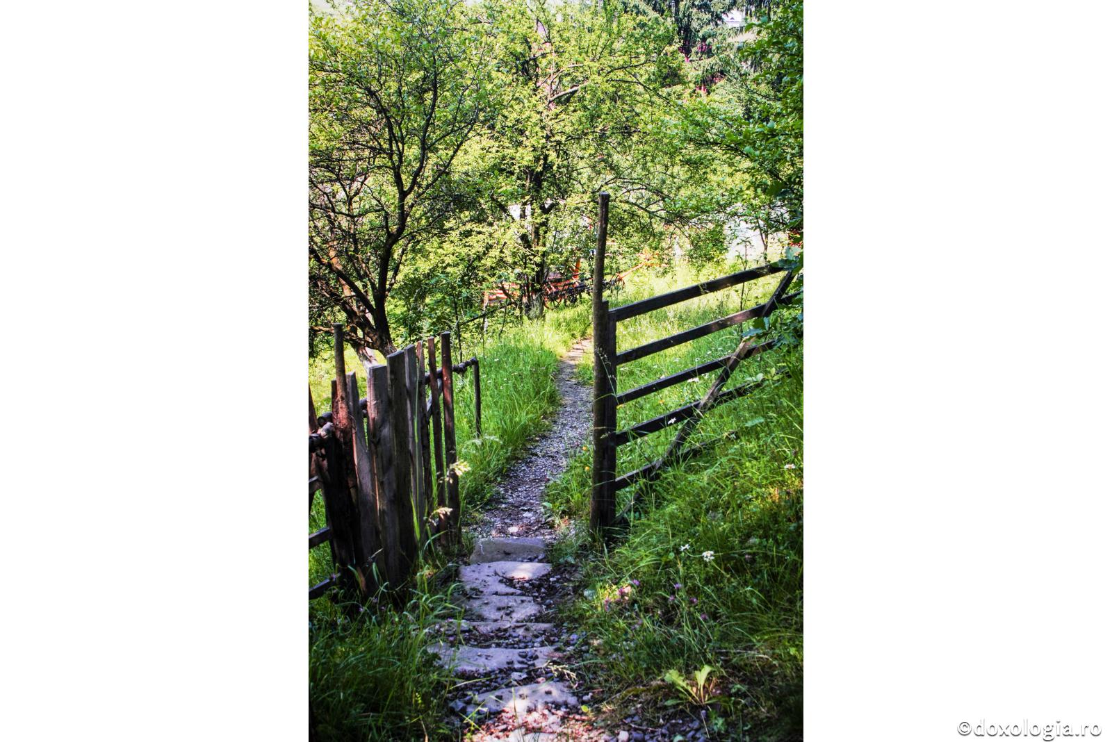 Calea cea strâmtă duce la mântuire