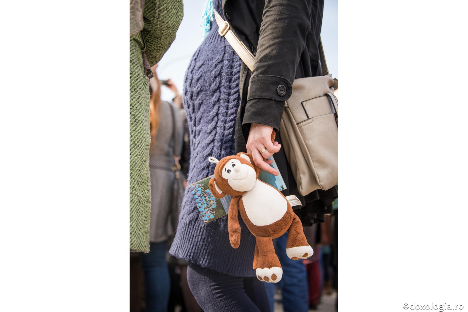 Perioada de sarcină