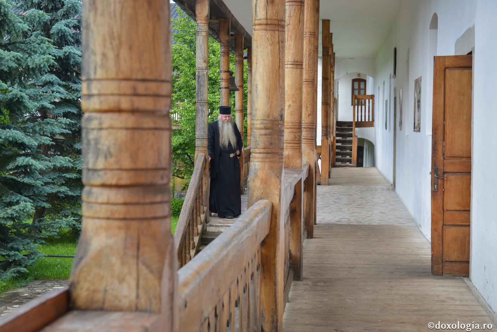 De ce m-am făcut călugăr?