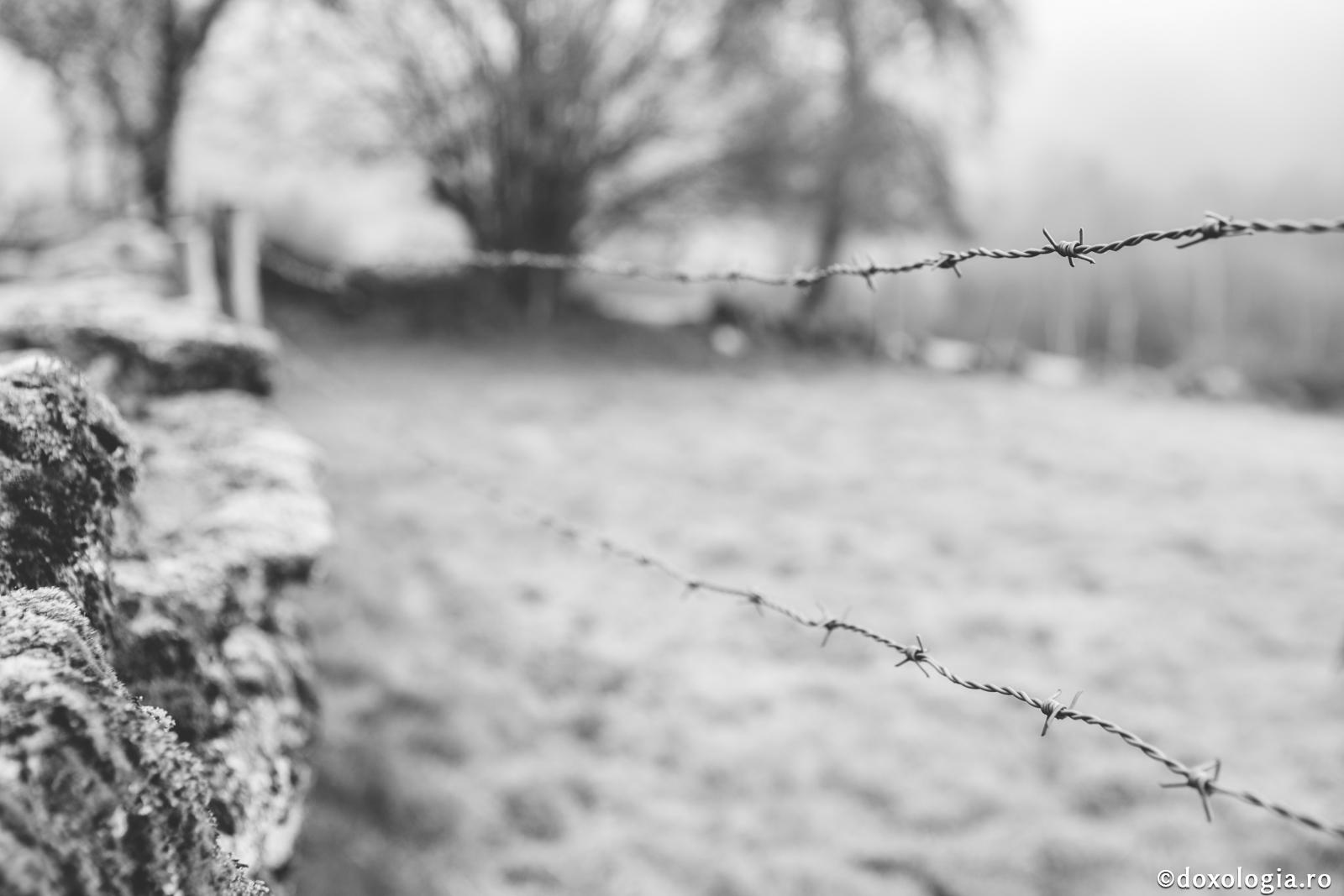 Fiecare patimă ne desparte de Dumnezeu