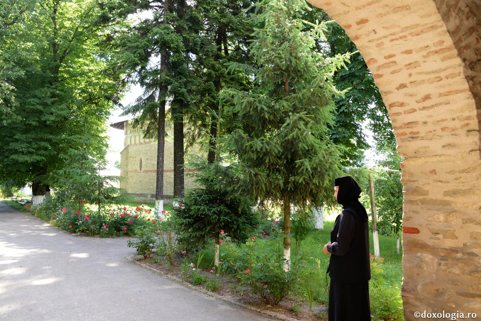 Inima cuprinde mintea, iar nu mintea inima