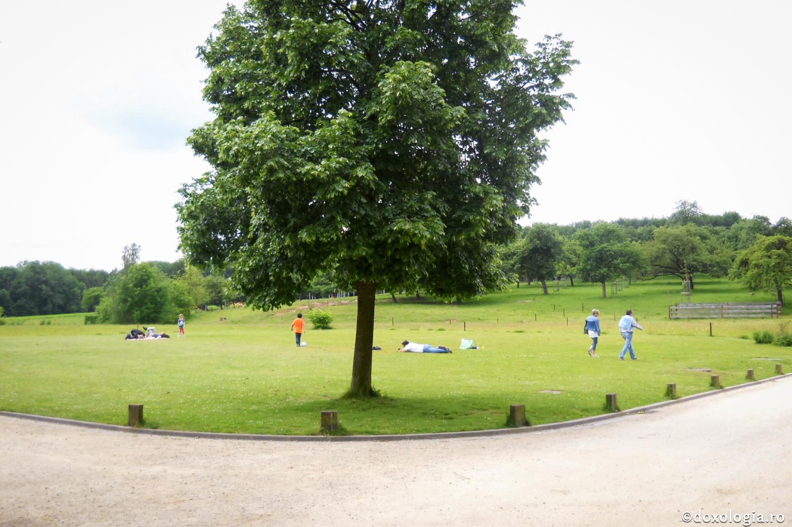 Întregul este mai limpede decât partea
