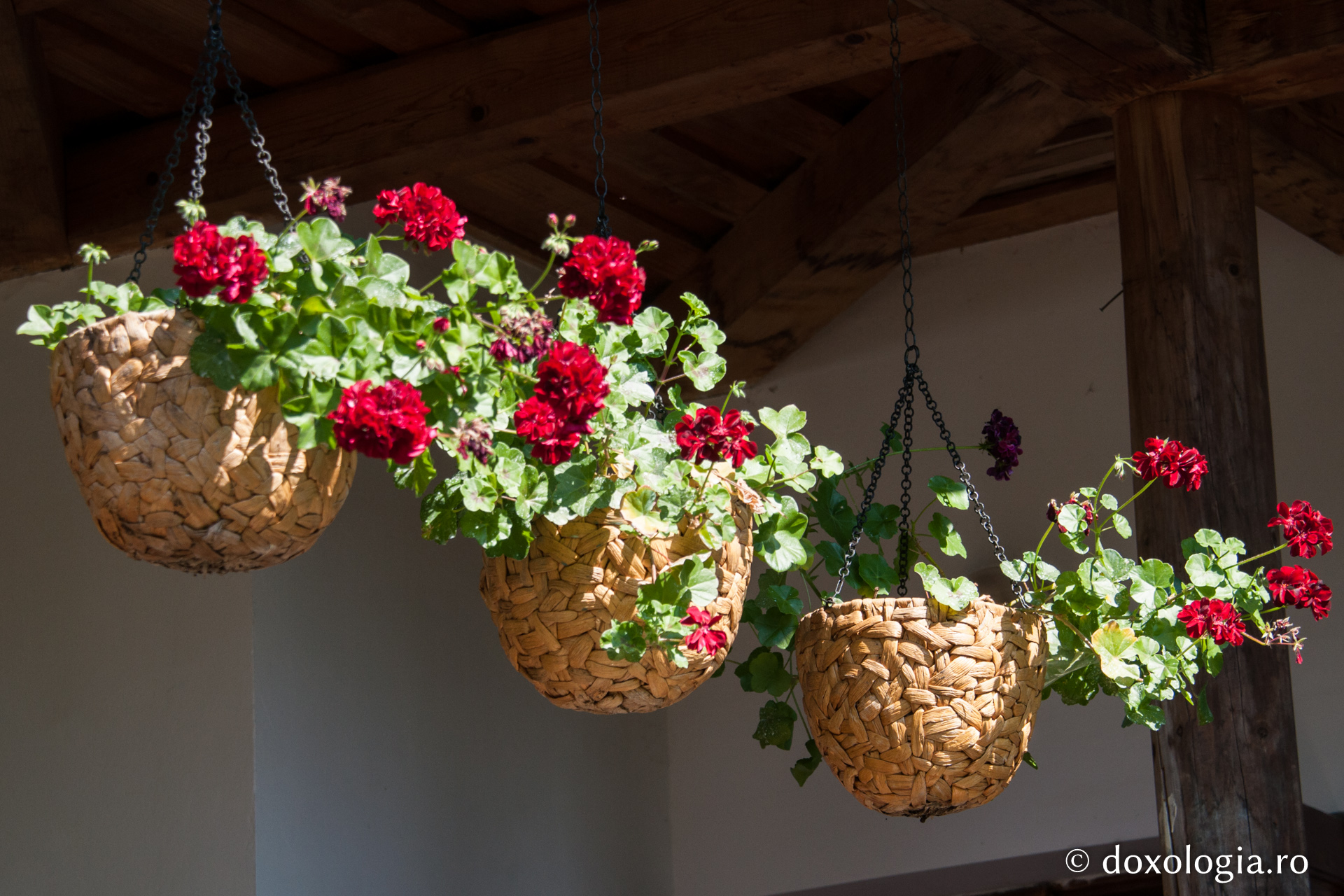 „Cultura românească a fost zămislită în tinda bisericii”