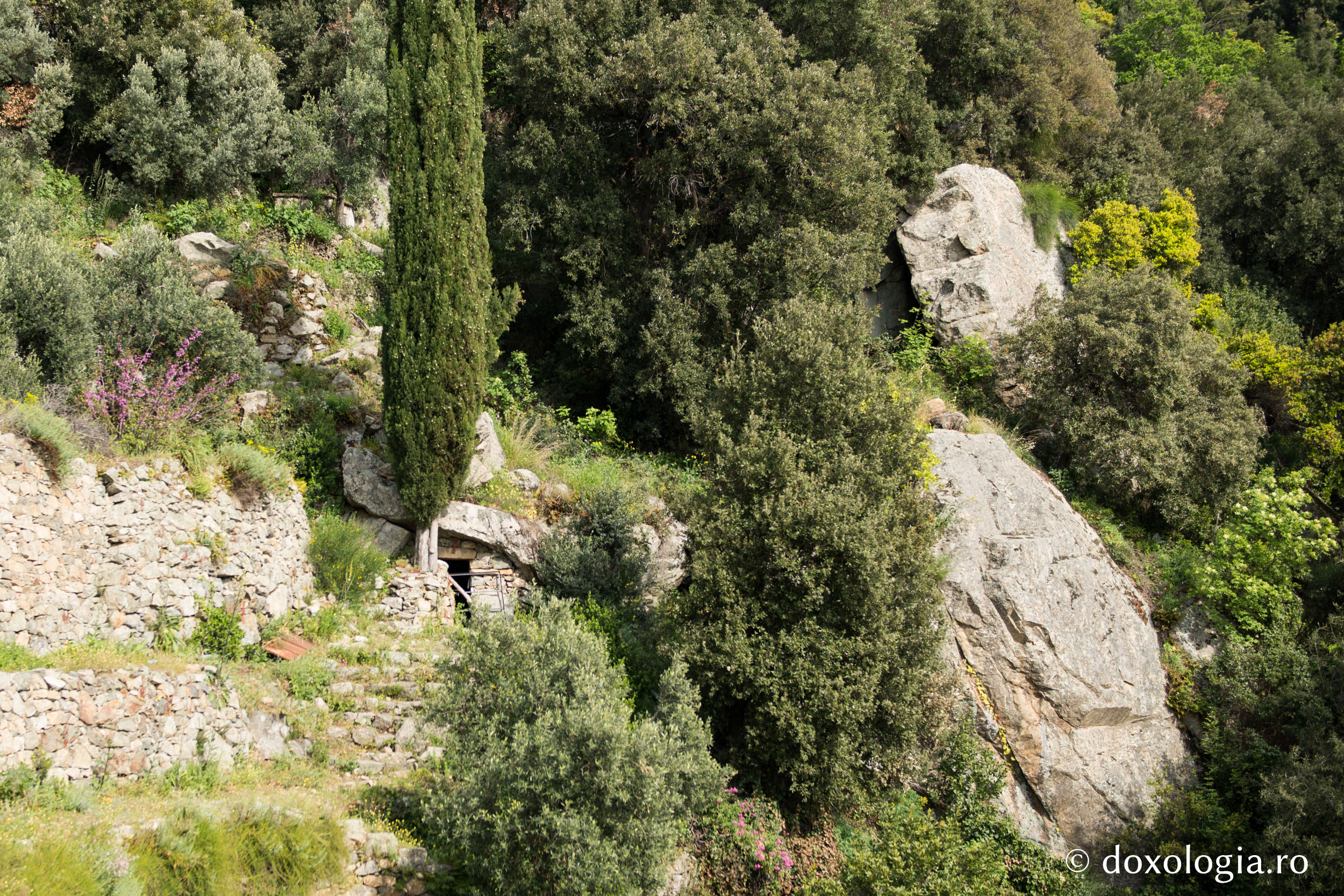 Peștera Cuviosului Grigorie Isihastul, Noul Sinait – Athos