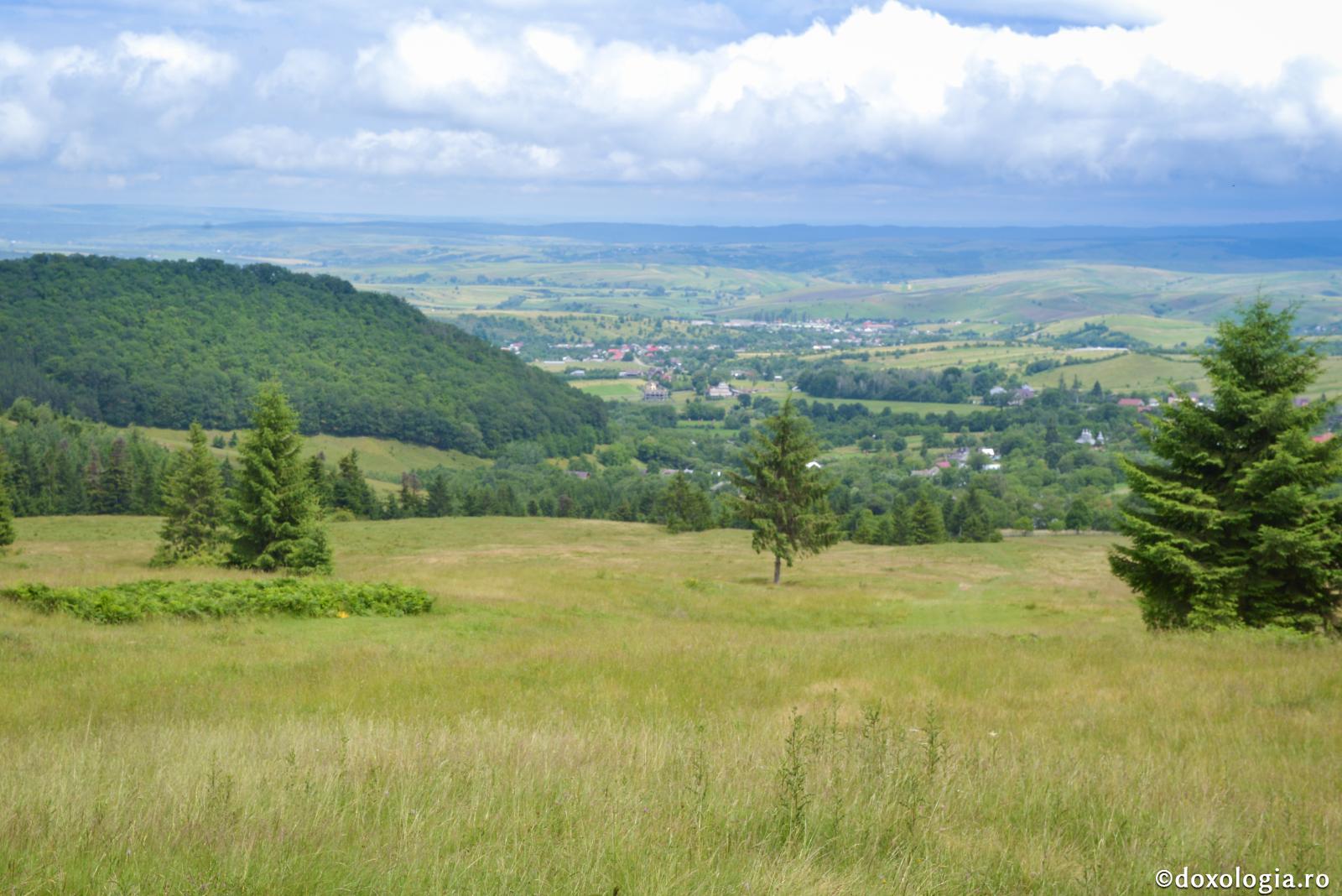 Oaspetele mult iubit